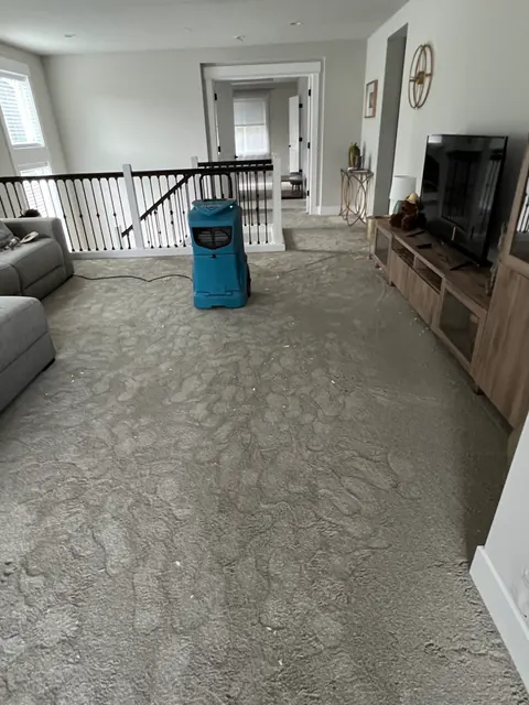 Dehumidifier set by the stair landing in the family room